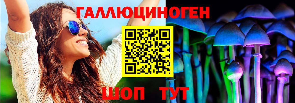 Черняховск  Галлюциногенные грибы Psilocybe  Галлюциногенные грибы прущие грибы  Вход с VPN 